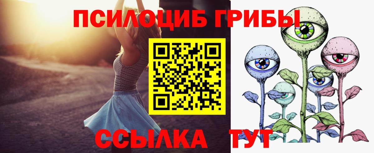 Галлюциногенные грибы прущие грибы Верхний Уфалей