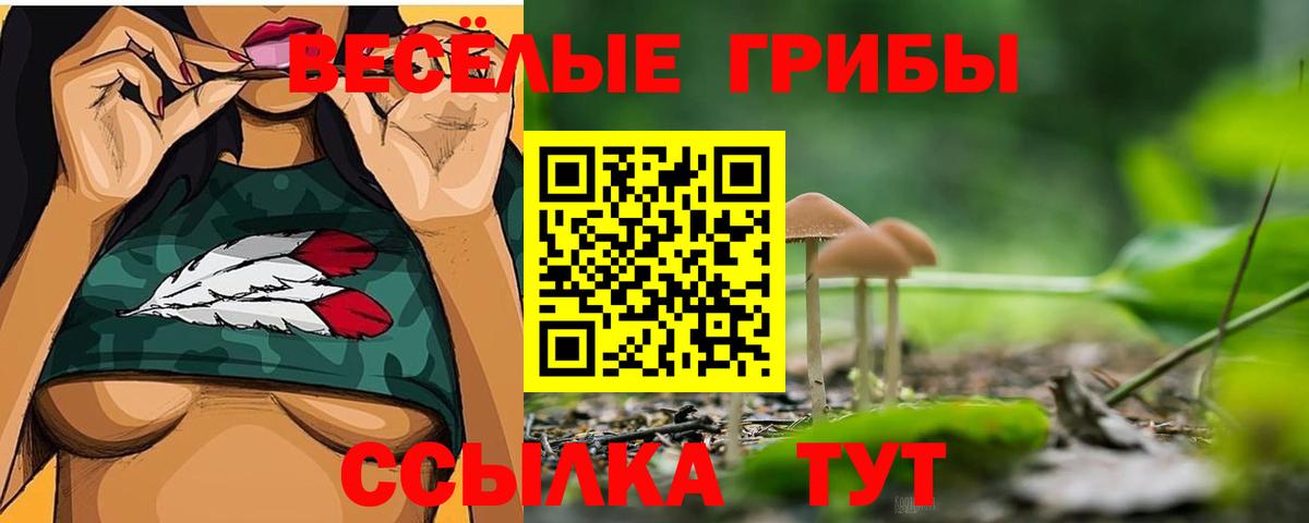 Верхний Уфалей  Псилоцибиновые грибы Psilocybine cubensis  Вход с VPN 